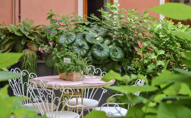 Santo Stefano: il tavolo rosa del terrazzo con le sedie bianche in ferro battuto fra le piante