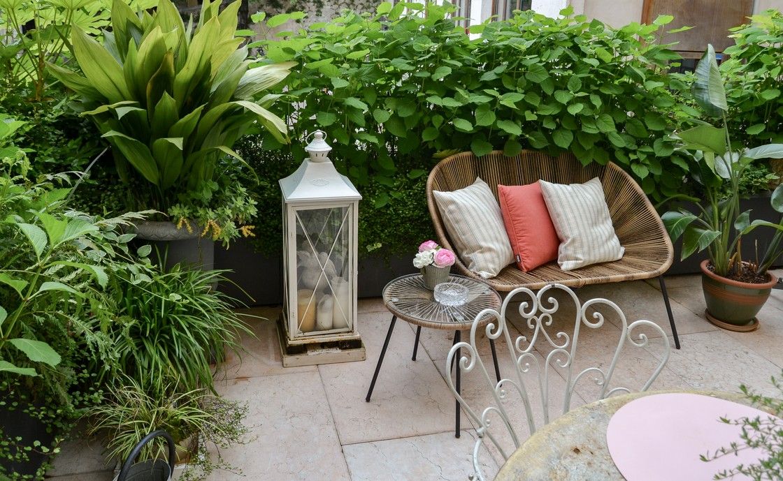 Rattansofa mit weissen und roten Kissen auf der Terrasse von Santo Stefano, umrahmt von Topfpflanzen